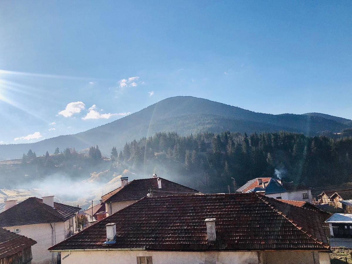 Къща За Гости "Домът На Краси" Yagodina Bagian luar foto